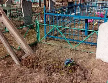 На Кіровоградщині молодик розграбував сільський цвинтар (ФОТО) фото 1