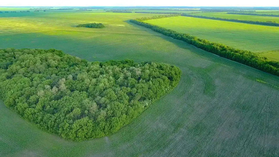 Як продати землю вигідно: в Україні створили онлайн-помічника LandInvest для землевласників