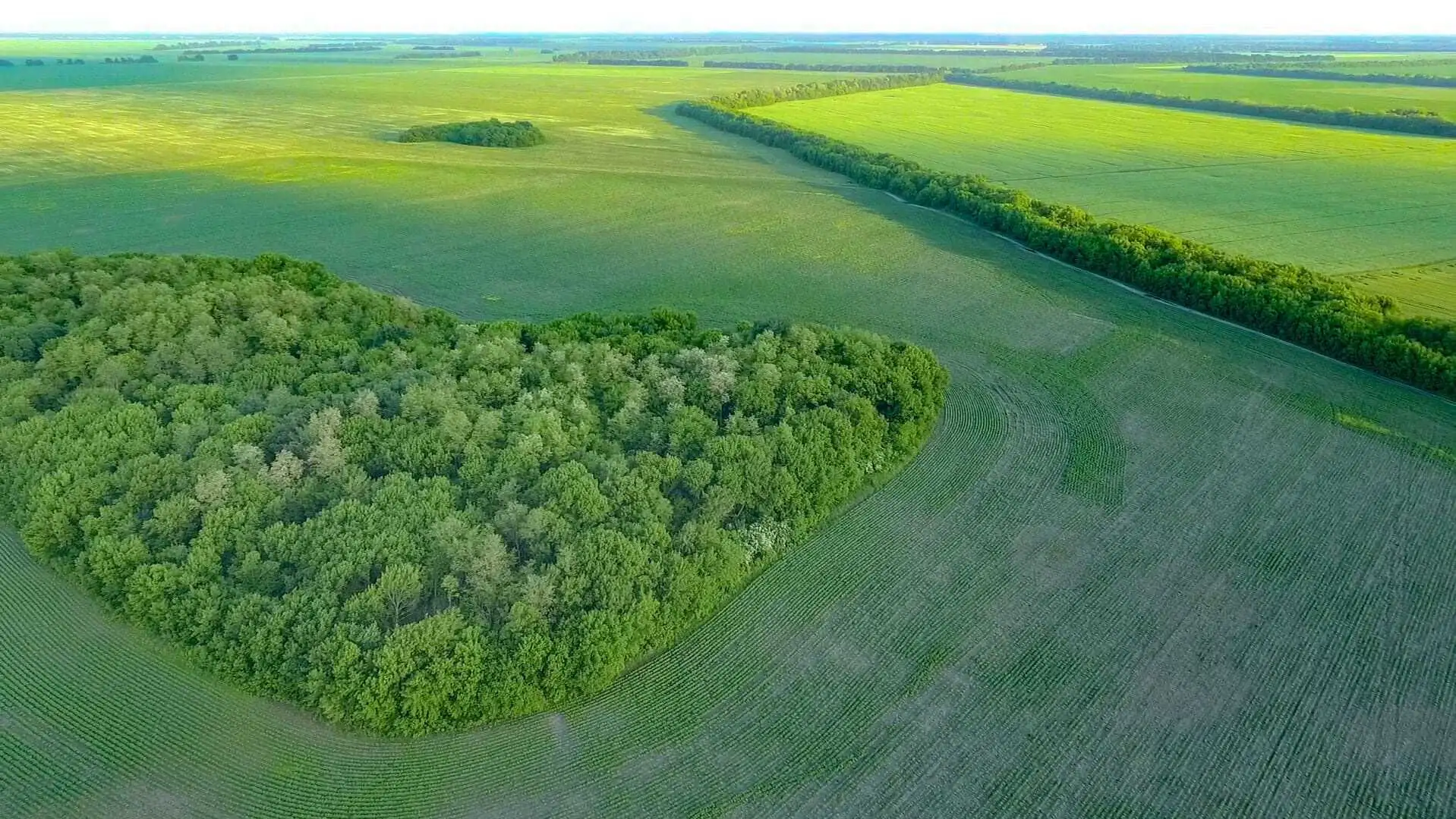 Як продати землю вигідно: в Україні створили онлайн-помічника LandInvest для землевласників фото 1