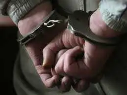 Нелюда, який вбив лопатою матір-інваліда, затримали в Кіровоградській області фото 1
