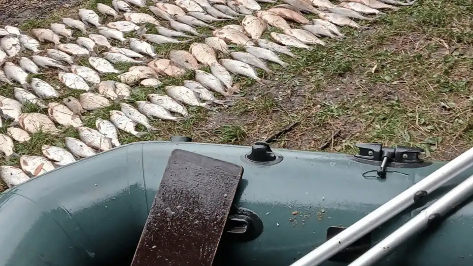 чоловік сітками ловив рибу у Світловодську в Кременчуцькому водосховищі