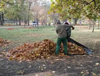У Кропивницькому безкоштовно вивозитимуть опале листя фото 1