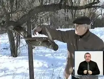 Пенсіонер з Кіровограда п’ятий рік поспіль щодня годує птахів (ВІДЕО) фото 1