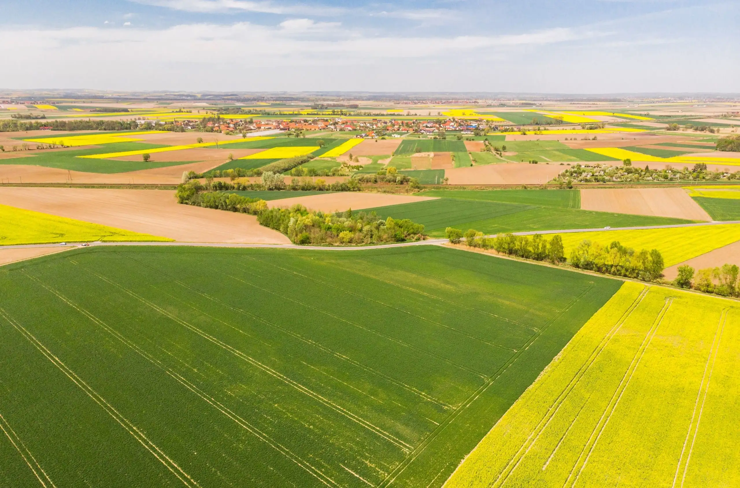 Незаконна перереєстрація землі