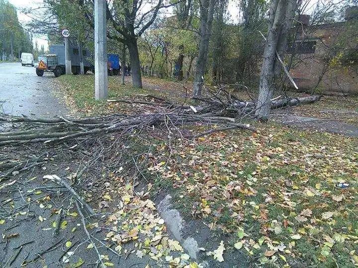 У Кропивницькому впало на дорогу та пошкодило авто сухе дерево (ФОТО)
