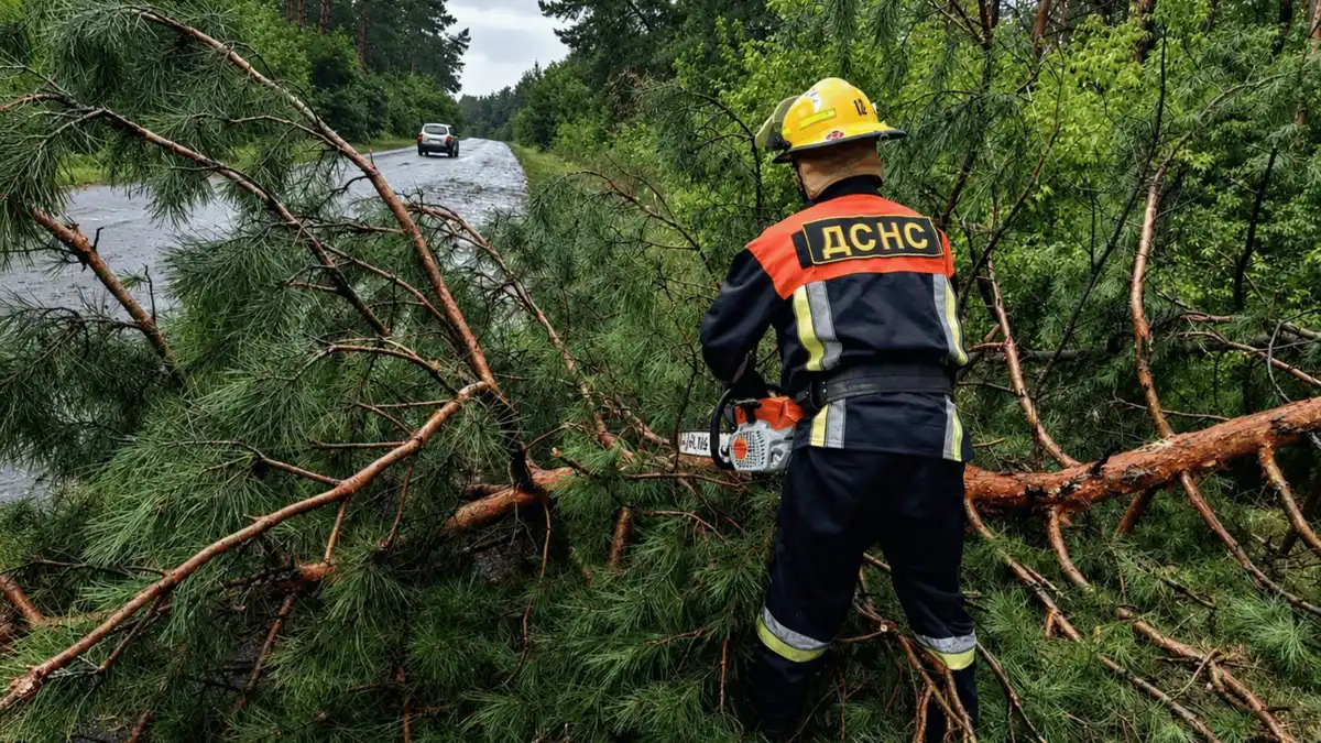 Негода у Кропивницькому 8 серпня: падали дерева