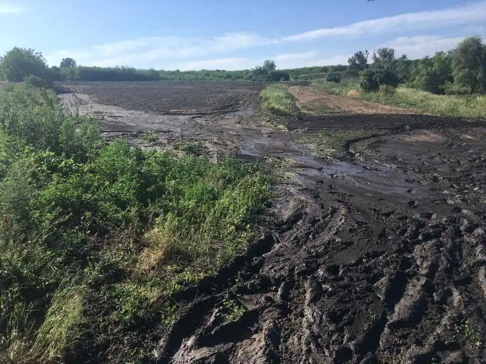 На Кіровоградщині негода знищила більше 2 тисяч гектарів посівів (ФОТО) фото 1
