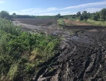 На Кіровоградщині негода знищила більше 2 тисяч гектарів посівів (ФОТО) фото 1