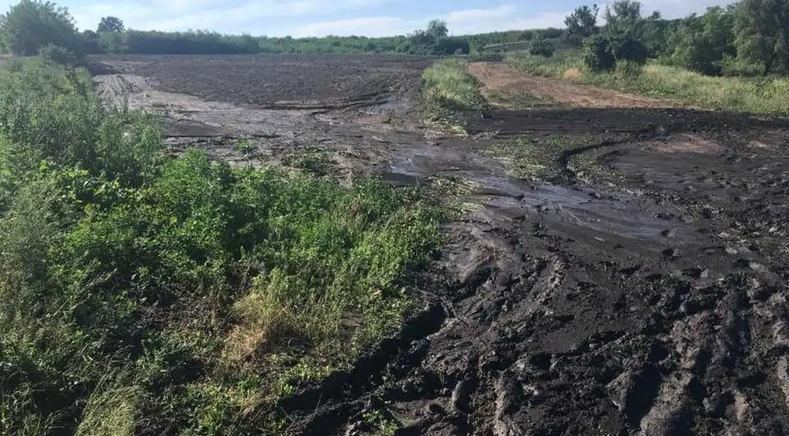 На Кіровоградщині негода знищила більше 2 тисяч гектарів посівів (ФОТО) фото 1