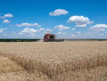 Жнива в Кіровоградській області