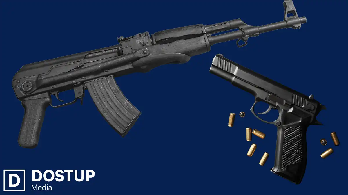 декларування зброї і боєприпасів