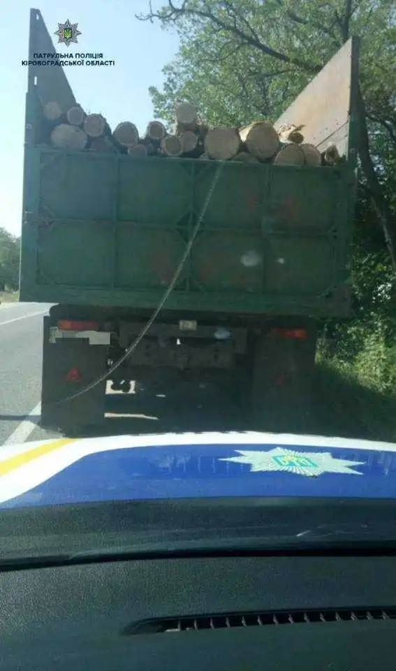 На Кіровоградщині затримали вантажівку, в якій незаконно перевозили деревину