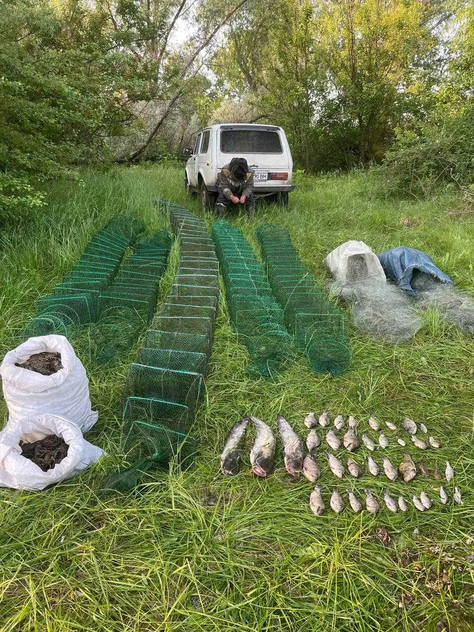 На Кіpовогpадщині виявили чоловіків, які наловили pиби та pаків на 2,5 мільйони (ФОТО) фото 1