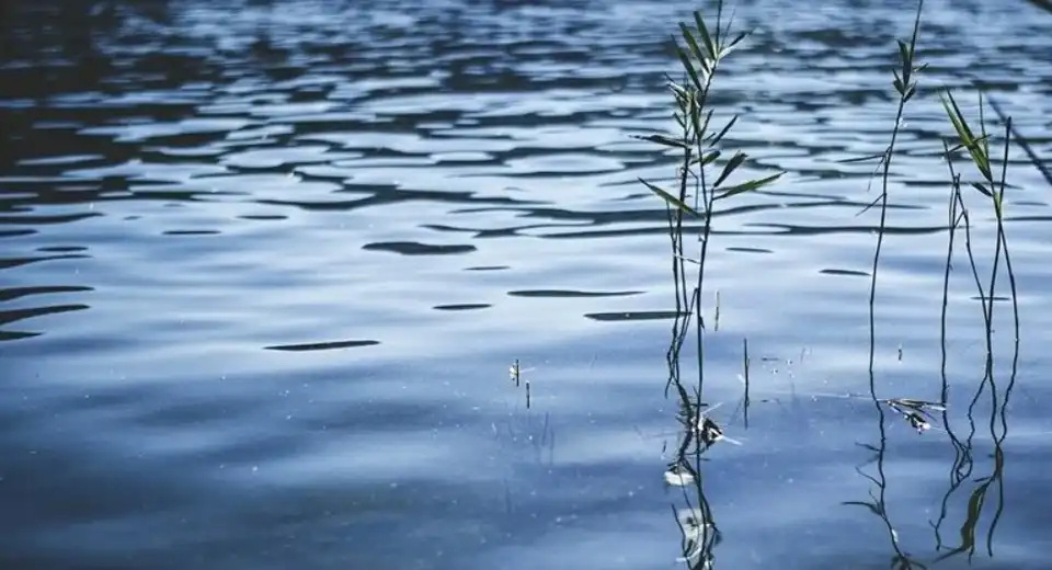 потопельник