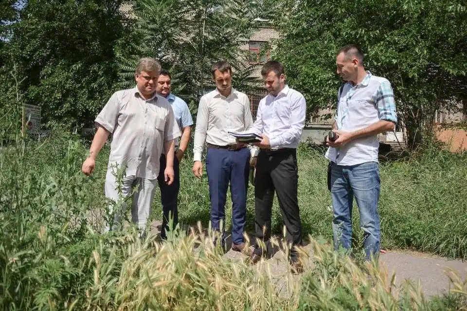 Боротьба з амброзією в Кіровограді: Муніципальне бюро  Стрижакова  переймає досвід Запоріжжя фото 1