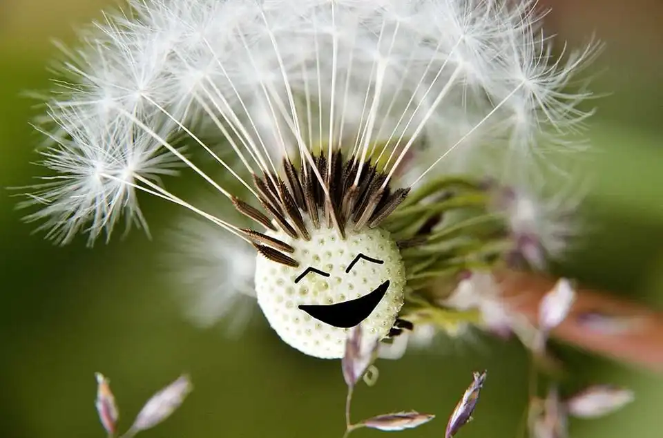 Вихідні та свята у червні: коли та скільки відпочиватимуть українці