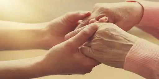 Кропивничан запрошують долучитися до благодійної акції до Дня святого Валентина фото 1