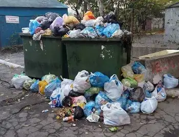 Міський голова Кpопивницького незадоволений організацією вивезення сміття в місті фото 1