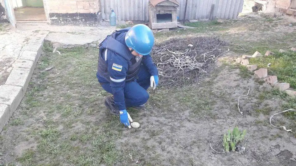 У Кропивницькому районі в будинку знайшли міну