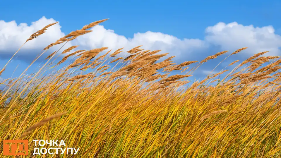 погода у Кропивницькому і області