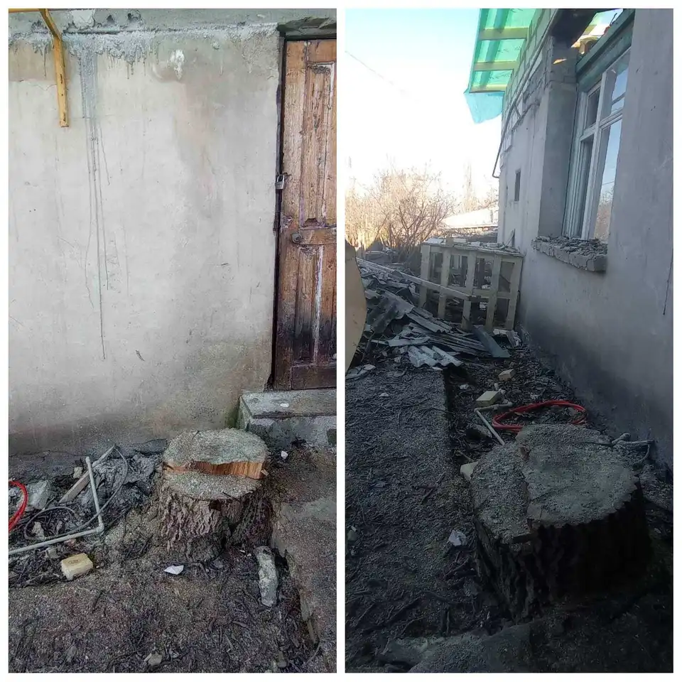 У Кропивницькому господар може сплатити штраф за спиляний біля будинку горіх (ФОТО)