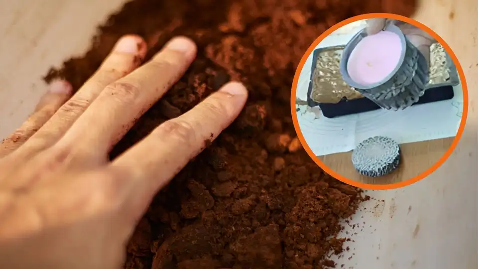 В одному з університетів Кропивницького розробили тротуарну плитку з кавової гущі