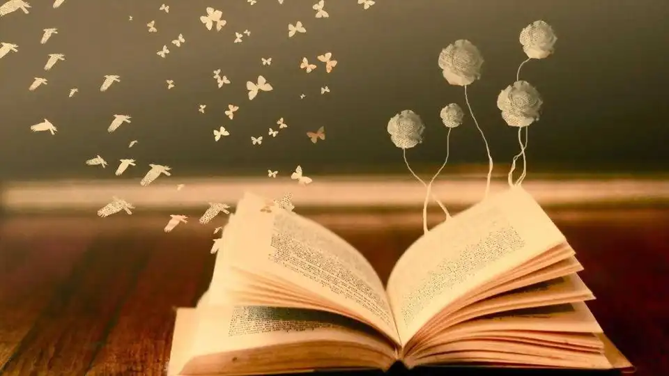 У Кpопивницькому відбудеться  книжковий фестиваль (ПPОГPАМА) фото 1