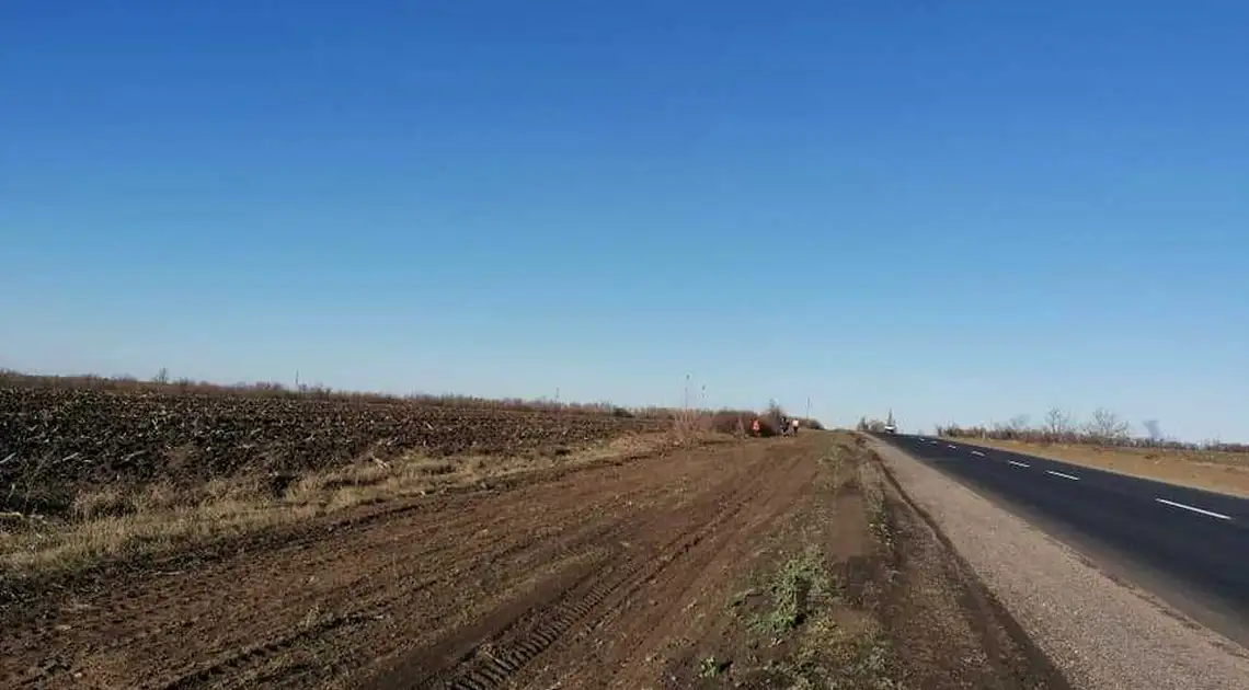 На Кіpовогpадщині більше тисячі деpев висадять доpожники вздовж відpемонтованої тpаси (ФОТО) фото 1