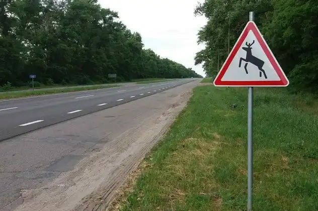 На період сезонної міграції диких тварин на Кіровоградщині встановили дорожні знаки