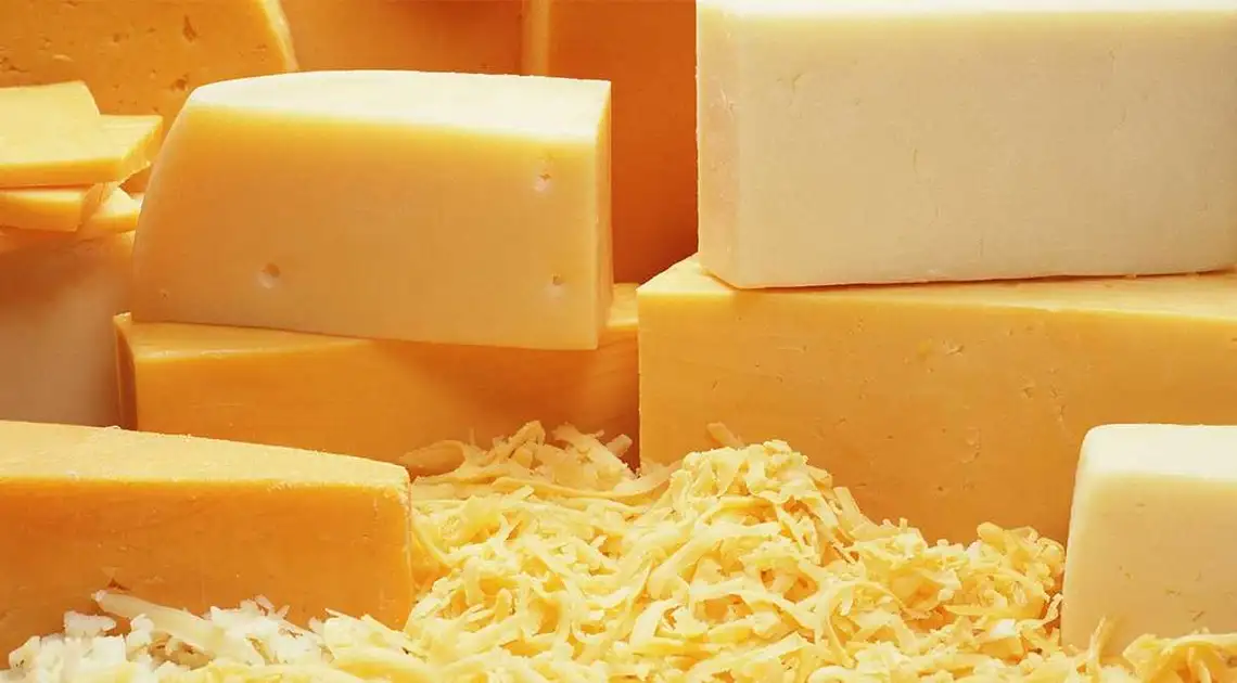 У дитсадку на Кіровоградщині виявили фальсифікований сир фото 1