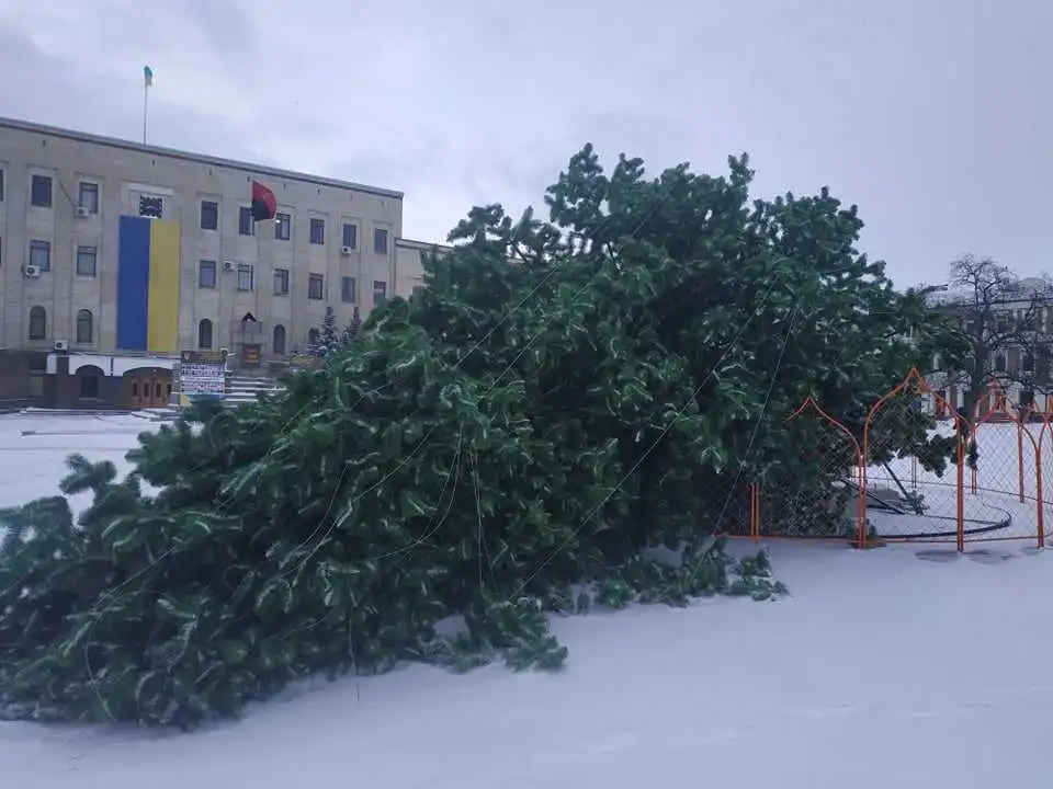 У Кропивницькому вітер повалив головну ялинку області (ФОТО)