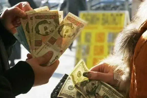 Дві мети Нацбанку: відомий економіст розповів про курс гривні в наступному році фото 1