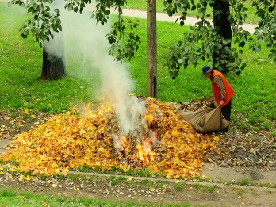 У Кропивницькому організують вечірні рейди для "вилову" паліїв листя фото 1