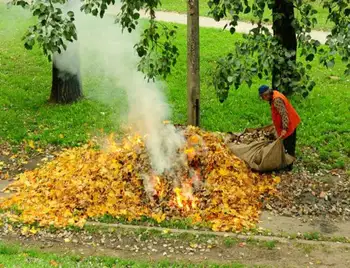 У Кропивницькому організують вечірні рейди для "вилову" паліїв листя фото 1