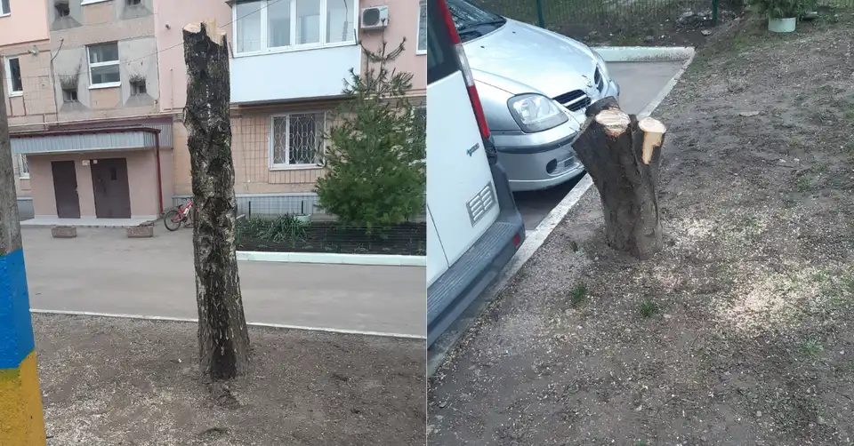 спилювання дерев