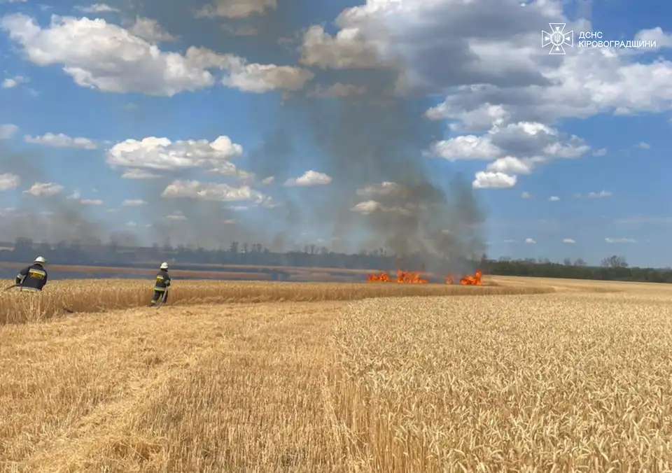 пожежа біля Кропивницького