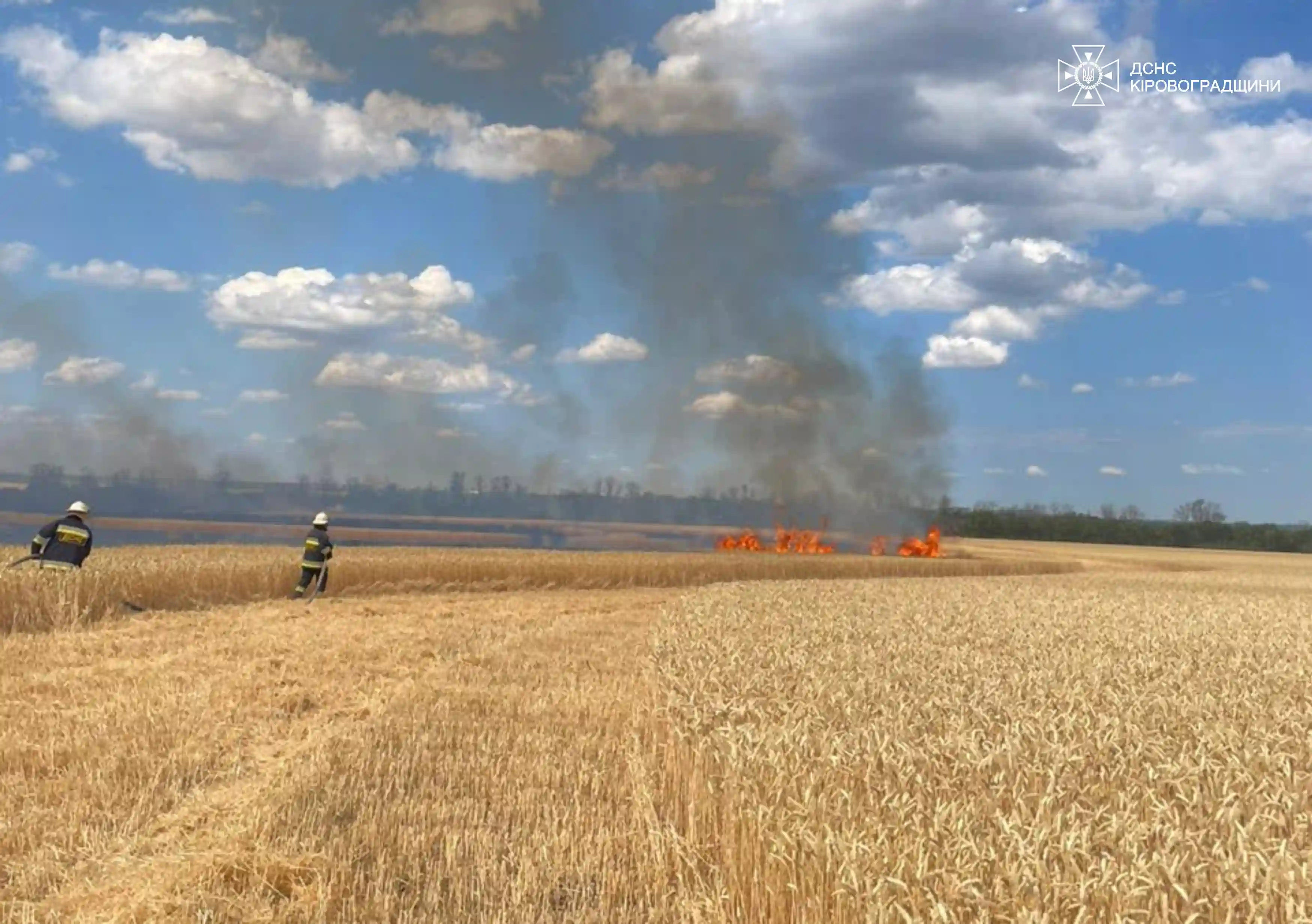 пожежа біля Кропивницького