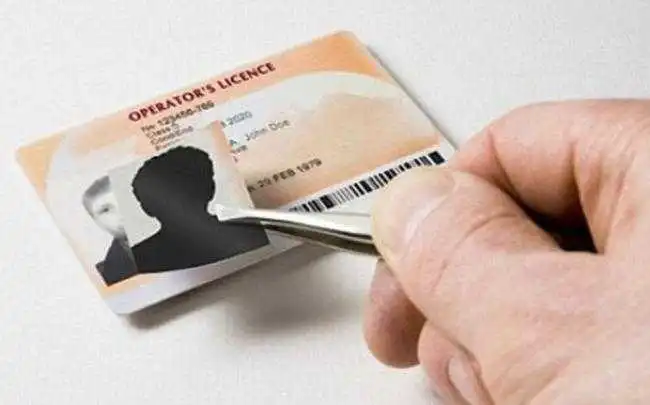 У Кропивницькому затримали двох водіїв із підробними документами