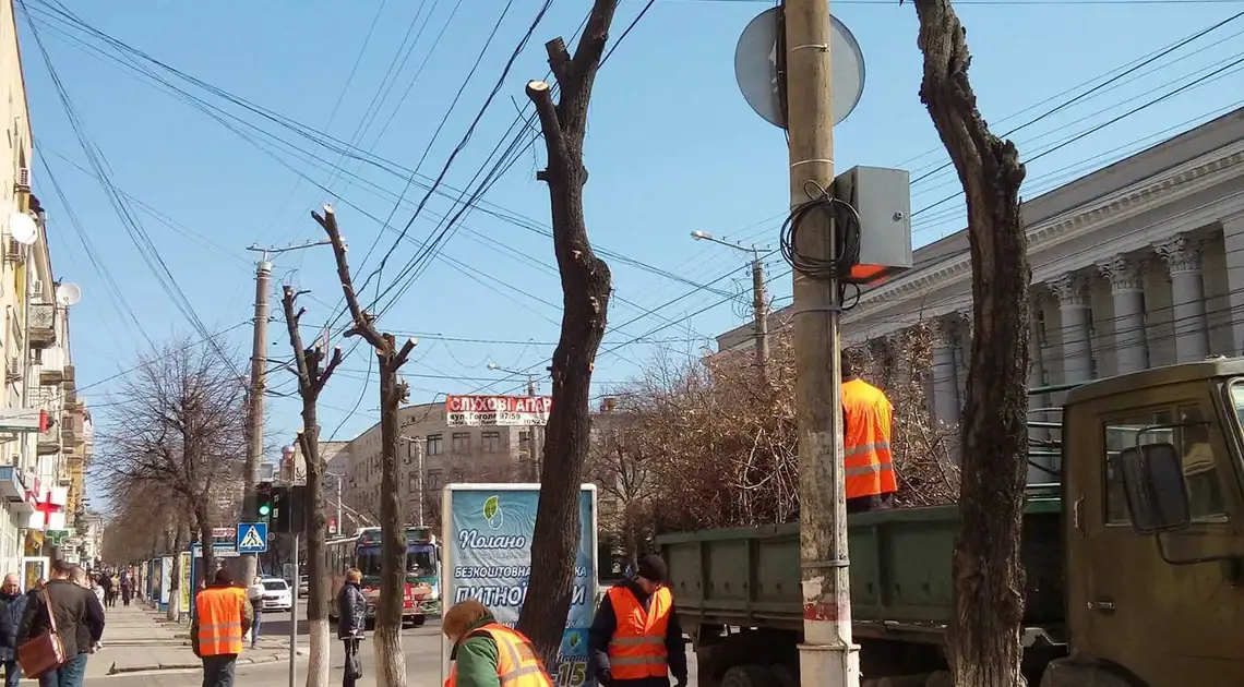 «Я не люблю Кіровоград»: у центрі міста заради реклами по-варварськи обрізали живі дерева (ФОТО) фото 1