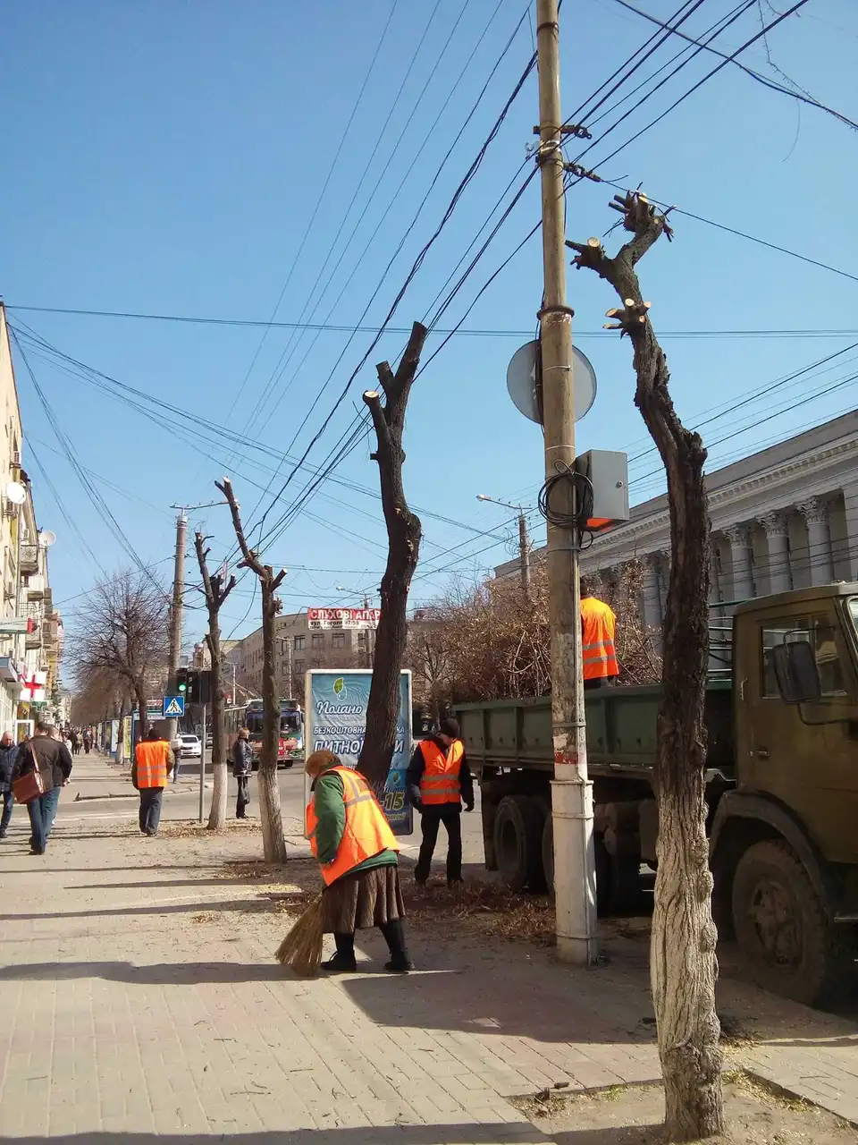 «Я не люблю Кіровоград»: у центрі міста заради реклами по-варварськи обрізали живі дерева (ФОТО)