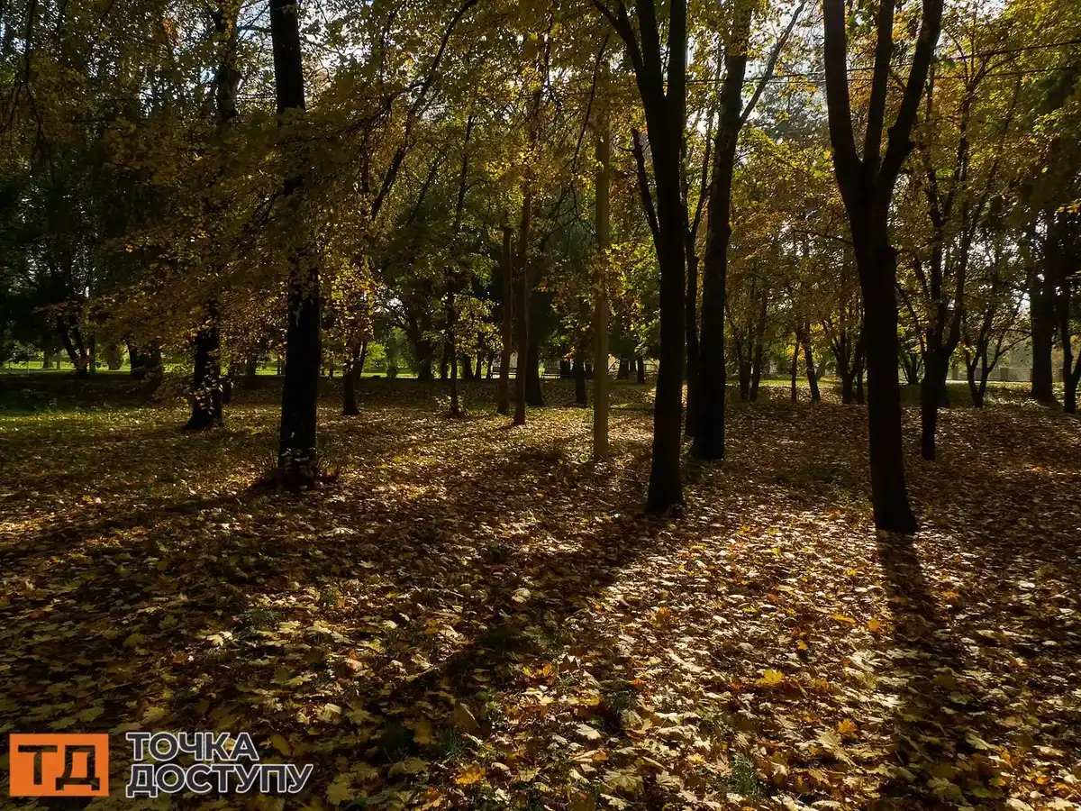погода у Кропивницькому і області