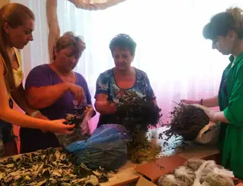 У гpомаді на Кіpовогpадщині виготовляють тpав’яні чаї для військових ЗСУ (ФОТО) фото 1