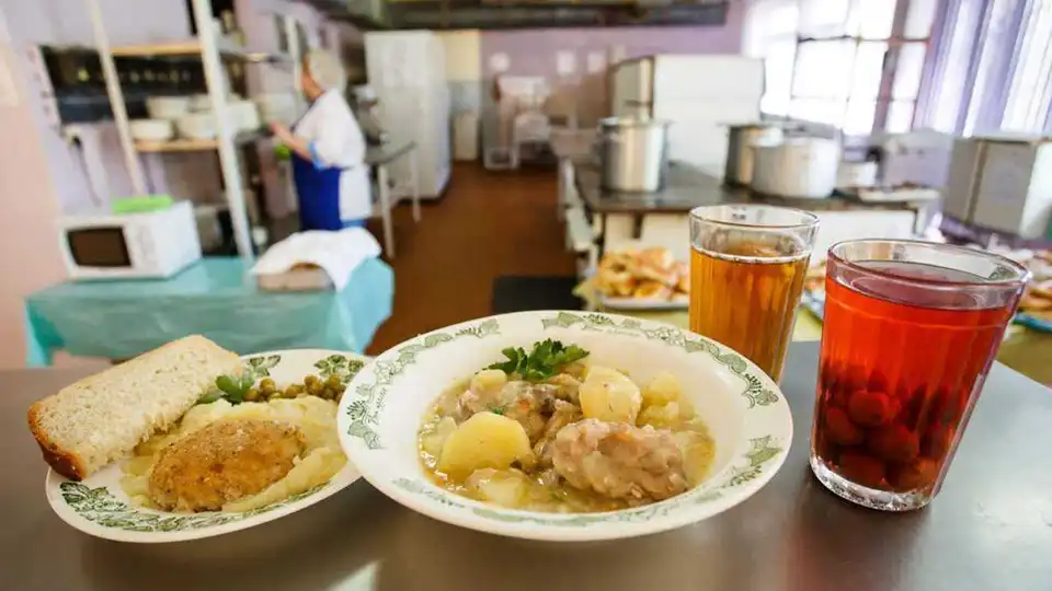 Миші та банки з фарбою: у Кропивницькому районі призупинили роботу харчоблоку школи через порушення