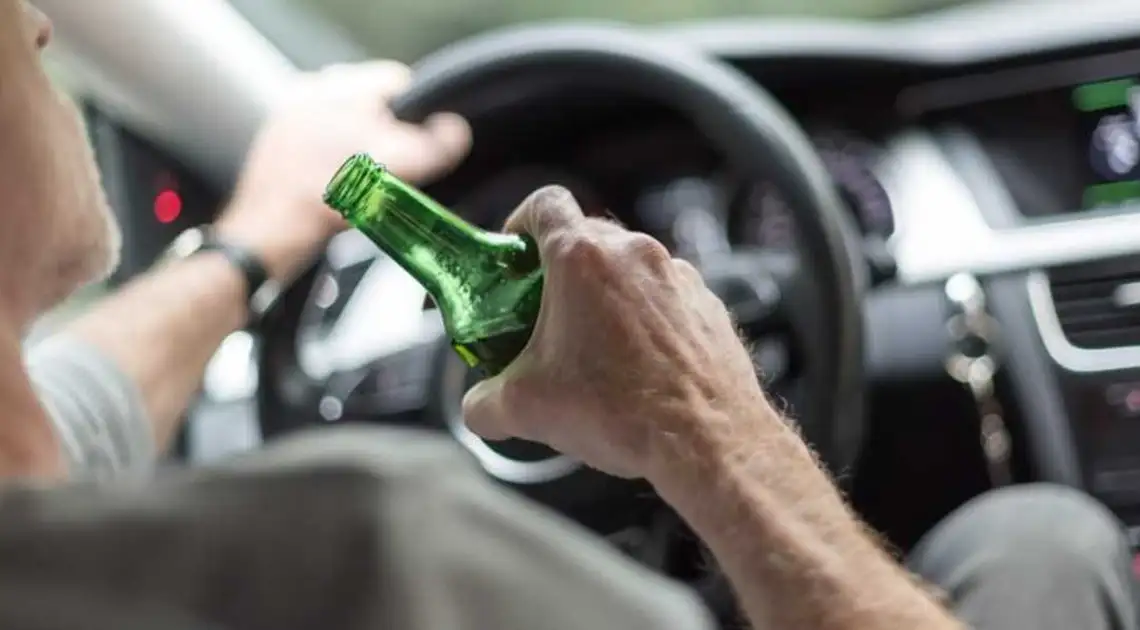 У Кропивницькому п'яний водій без "водійського" пропонував поліцейським хабар фото 1