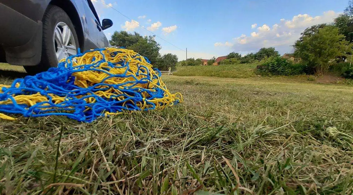 Як у Компаніївці на місці сміттєзвалища облаштували футбольне поле та висадили іриси (ФОТО) фото 1