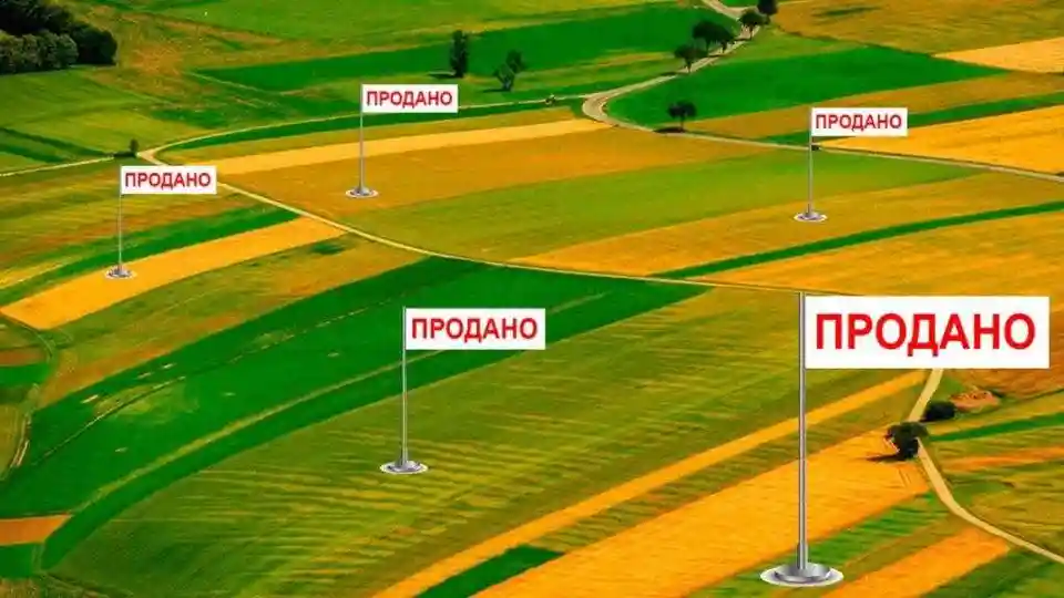 За крок до відкритого ринку землі: до чого готуватися та хто купуватиме