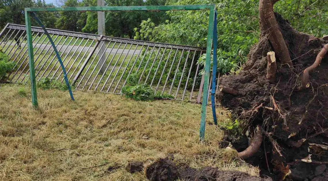 Негода в Дмитрівці