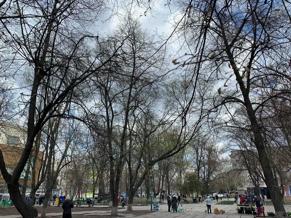 Андрій Райкович: Макдональдз може бути збудований тільки в Центральному сквері