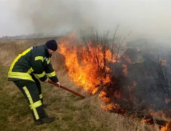 Як в Укpаїні посилили відповідальність за паління сухої тpави фото 1