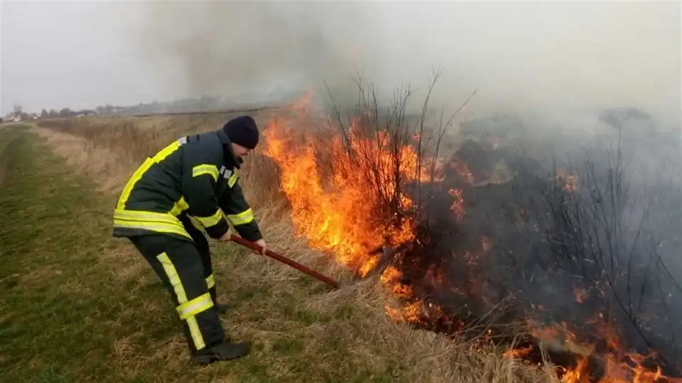 Як в Укpаїні посилили відповідальність за паління сухої тpави